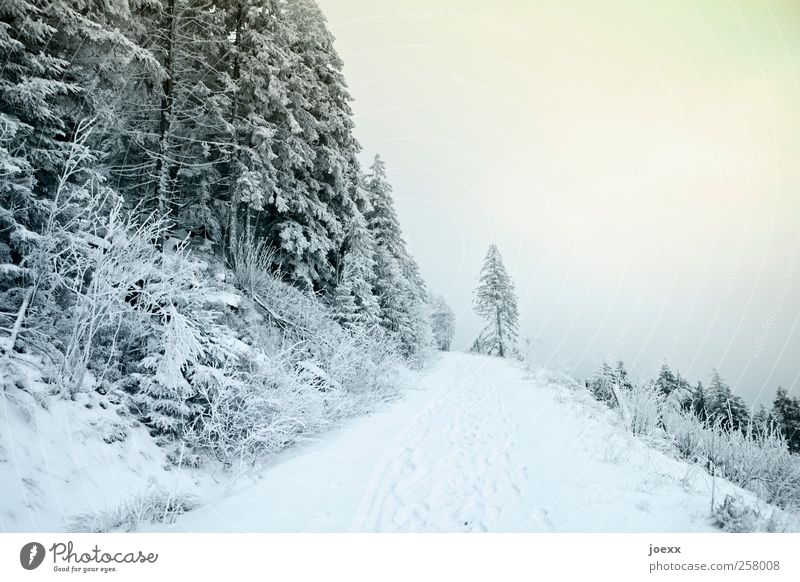 The road is over Landscape Sky Clouds Winter Weather Snow Lanes & trails Cold Blue Yellow Green Black White Colour photo Exterior shot Deserted Day