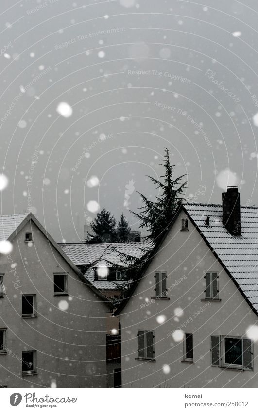 First of all Winter Bad weather Ice Frost Snow Snowfall Tree Village Small Town House (Residential Structure) Detached house Facade Window White Snowflake Gray