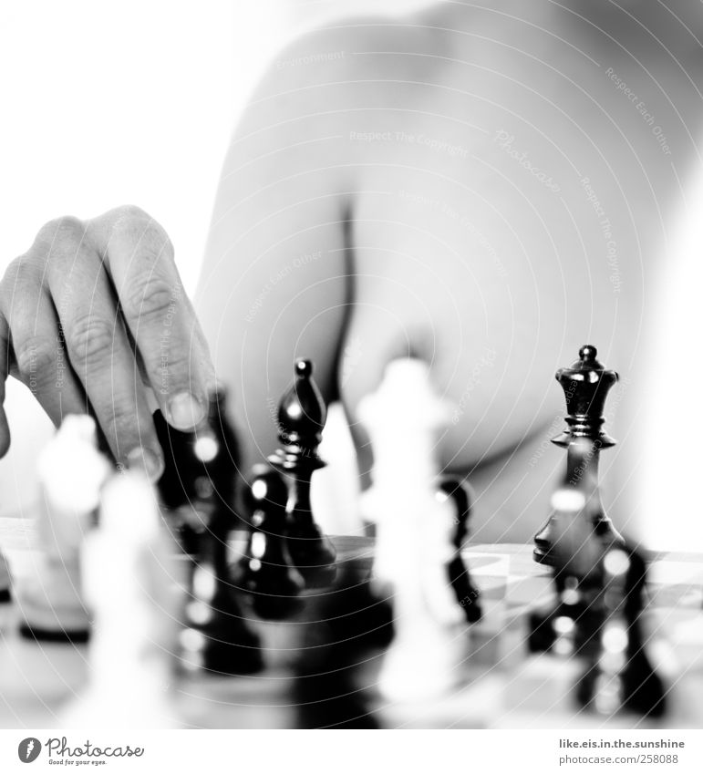 Monochrome Photo of Chess Pieces · Free Stock Photo