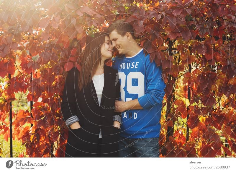 loving couple embracing about the colored autumn leaves Human being Masculine Feminine Young woman Youth (Young adults) Young man Family & Relations Friendship