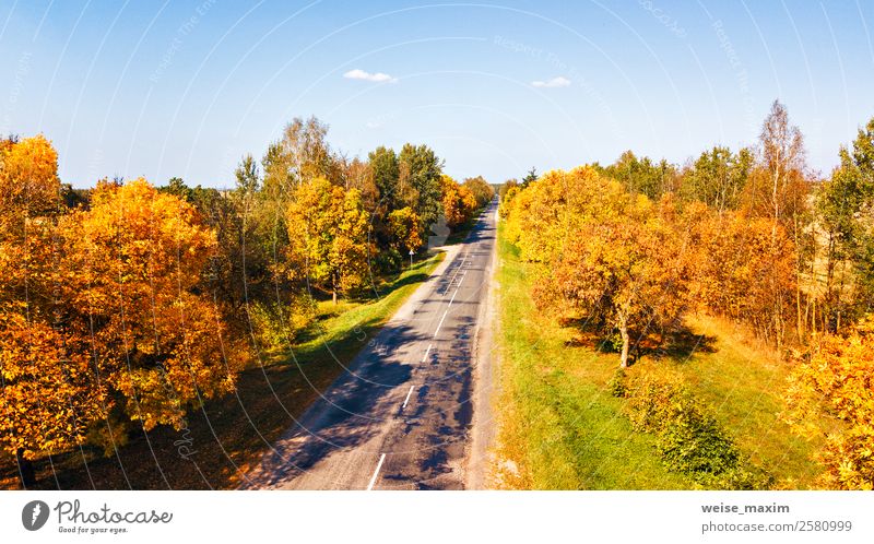 Aerial view on countryside road. Straight road view from above. Vacation & Travel Tourism Trip Far-off places Nature Landscape Plant Air Sky Summer Autumn