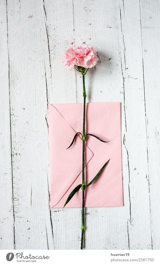 Flowers on white background. Flat lay Elegant Style Design Feasts & Celebrations Valentine's Day Birthday Nature Leaf Bouquet Love Natural Pink White Passion