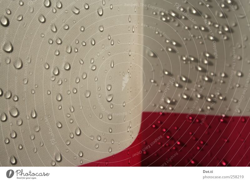 SHOE Bathroom Water Wet Red Wellness Shower curtain Drops of water Textiles Take a shower Screening Hydrophobic Colour photo Interior shot Close-up Detail