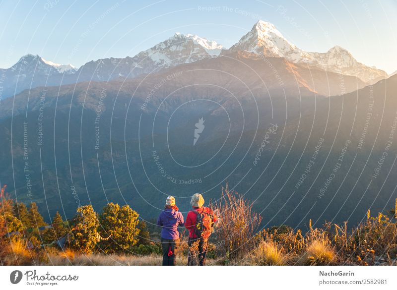 Hikers enjoying sunset in Himalaya mountains Vacation & Travel Tourism Adventure Freedom Expedition Snow Mountain Hiking Climbing Mountaineering Human being