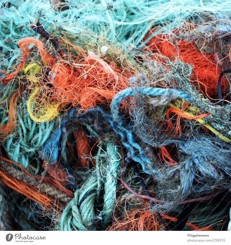 Setting up a network Fishery Fishing net Net Colour photo Exterior shot Day Remainder Multicoloured Trash Environmental pollution