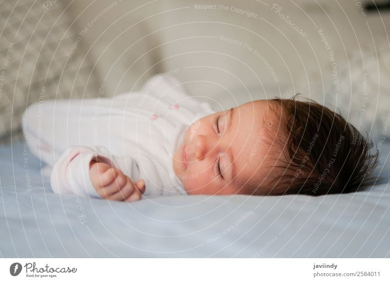 Newborn baby girl sleeping on blue sheets at home Happy Beautiful Face Life Child Baby Girl Infancy 1 Human being 0 - 12 months Sleep Small Cute White Innocent