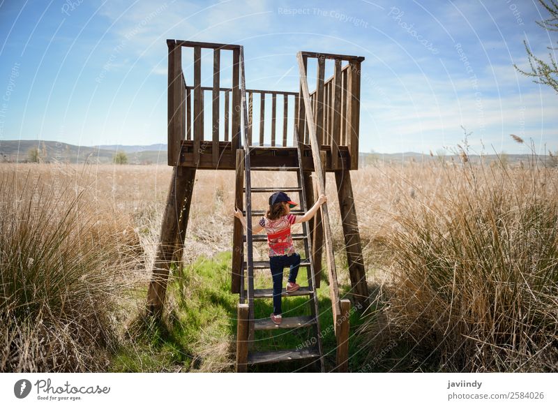 Little girl climbing to a wooden observation tower Lifestyle Joy Happy Beautiful Leisure and hobbies Summer Child Human being Girl Infancy Hand 1 3 - 8 years