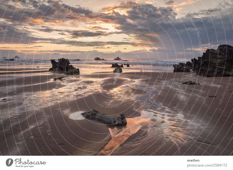 Twilight Nature Landscape Sky Clouds Horizon Summer Beautiful weather Rock Waves Coast Beach Ocean Glittering Maritime Blue Brown Gold Gray Orange Flow