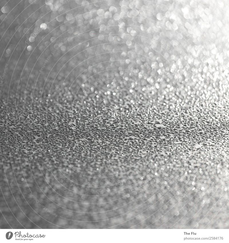 silver gleam Water Drops of water Sunlight Rain Fantastic Fluid Cold Wet Gray Black White Dew Back-light Reflection Macro (Extreme close-up) sparkle Pearl