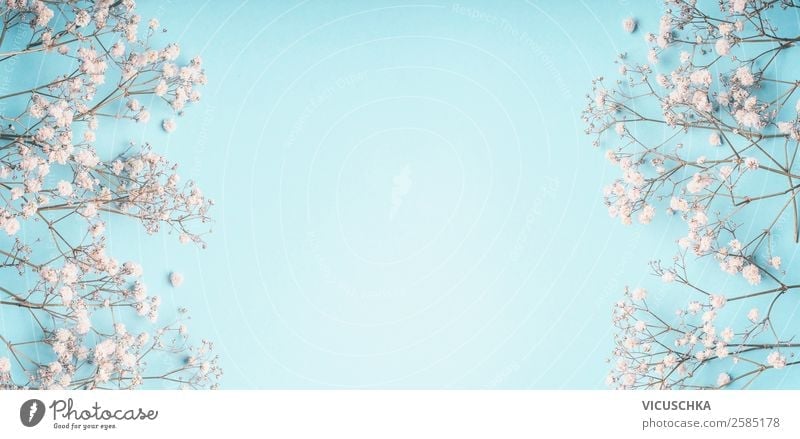 Light blue background with small white flowers - a Royalty Free Stock Photo  from Photocase