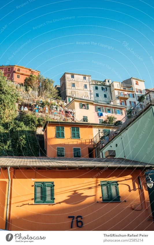 Manarola Fishing village Blue Multicoloured Yellow Cinque Terre Italy Travel photography Tourism House (Residential Structure) Vacation & Travel Hill Steep