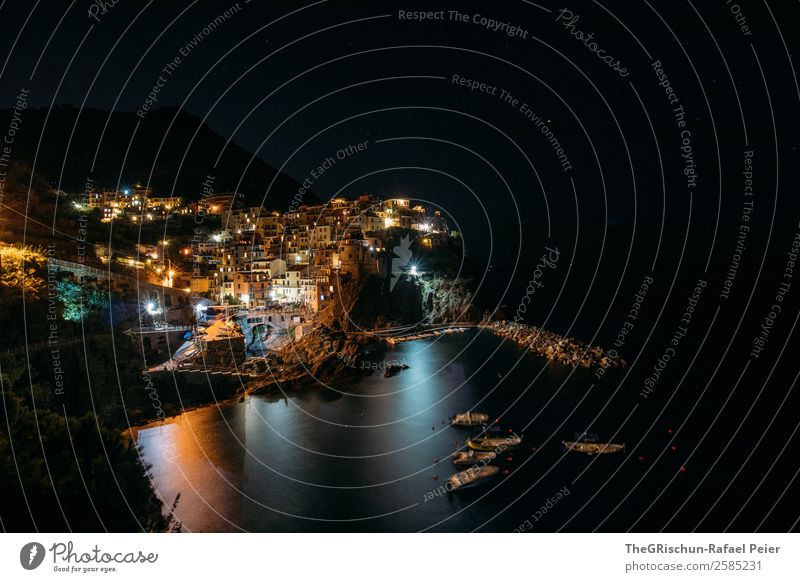 Manarola by night Village Fishing village Orange Black Ocean Watercraft House (Residential Structure) Light Reflection Long exposure Cliff Night Dark Italy