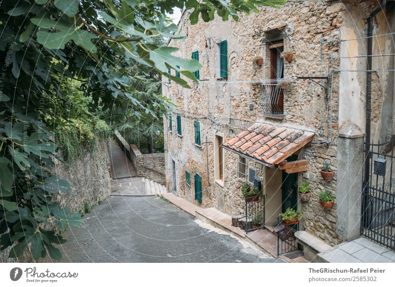 house Village Small Town Brown Gray Green Black House (Residential Structure) Plant Tree Stone Tuscany Travel photography Italy Window Discover Colour photo