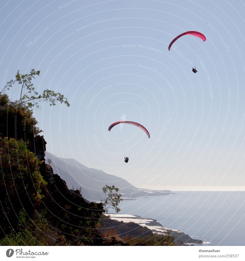 Icarus and Daedalus Leisure and hobbies Paragliding Vacation & Travel Adventure Far-off places Freedom Summer Sun Beach Ocean Island Mountain Sports Paraglider