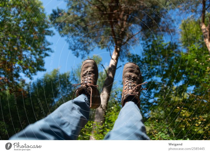 shifting sky Sports Hiking Feet 1 Human being Environment Nature Sky Summer Autumn Tree Walking Fantastic Athletic Blue Fair Diligent Disciplined Forest