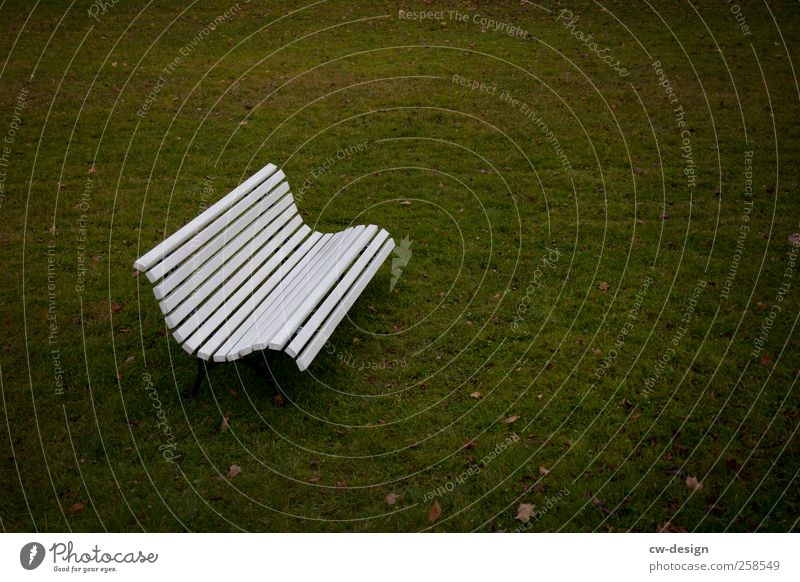 A bank is a credit institution Environment Nature Garden Park Meadow Deserted Sharp-edged Simple Free Natural Town Green White Loneliness Idyll Bench Seating