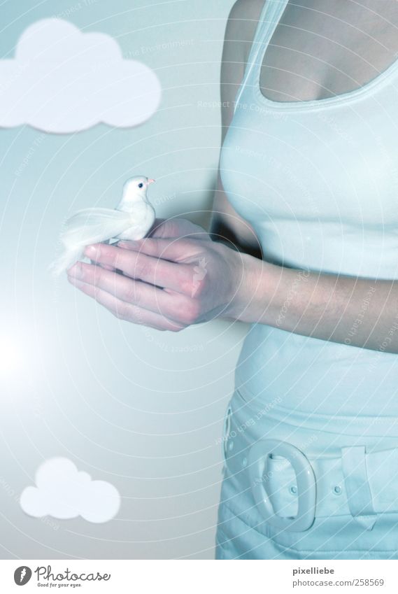 I'd rather have a sparrow in my hand! Feminine Young woman Youth (Young adults) Hand Fingers Nature Air Sky Clouds Pants Belt Bird Pigeon Wing Touch Catch