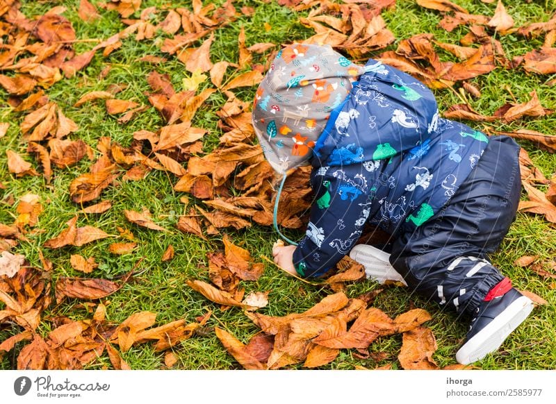 A baby crawling through the autumn leaves in the forest Lifestyle Joy Happy Beautiful Face Child Human being Baby Toddler Infancy 1 0 - 12 months Nature Autumn