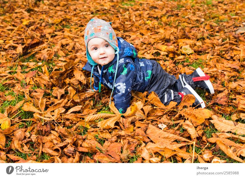 A baby crawling through the autumn leaves in the forest Lifestyle Joy Happy Beautiful Face Child Human being Baby Toddler Infancy 1 1 - 3 years Nature Autumn