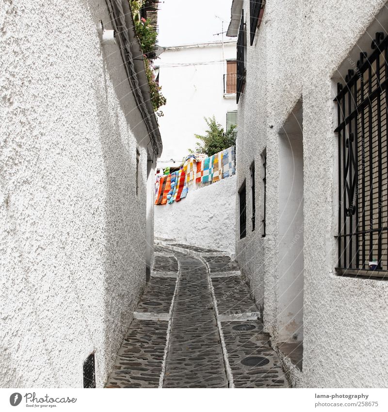 Streets of Andalusia [III] Vacation & Travel Tourism Frigiliana white village Andalucia Spain Village Fishing village House (Residential Structure)