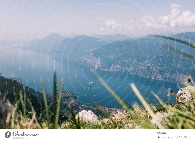 Lago di Garda | Paraglider pilots Leisure and hobbies Vacation & Travel Adventure Freedom Summer vacation Mountain Paragliding Nature Landscape Sky