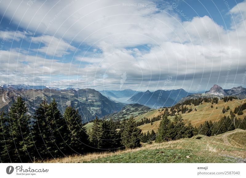 View from Hoch-Ybrig Environment Nature Landscape Summer Beautiful weather Alps Mountain Natural Blue Green Tourism Switzerland Lake Lucerne Hiking trip