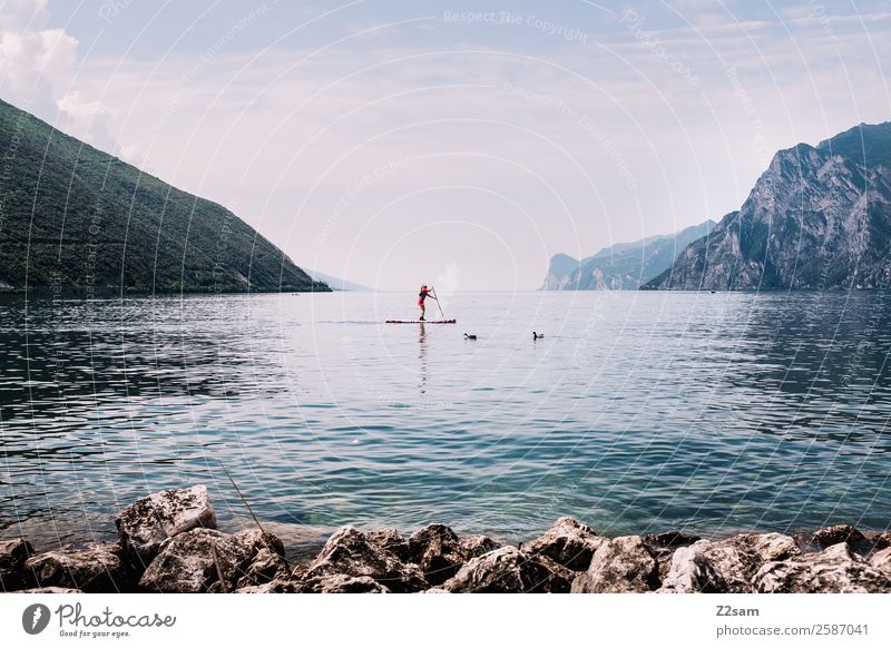 Lake Garda | Stand up paddling Lifestyle Leisure and hobbies Vacation & Travel Summer Summer vacation Aquatics Human being 1 Nature Landscape Sky
