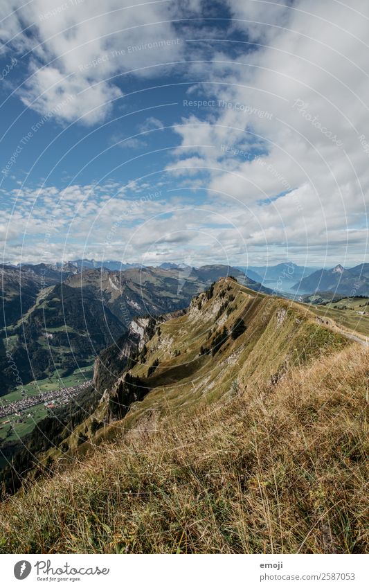 View into the Muotathal Environment Nature Landscape Summer Beautiful weather Alps Mountain Natural Blue Green Tourism Switzerland Hoch-Ybrig Lake Lucerne