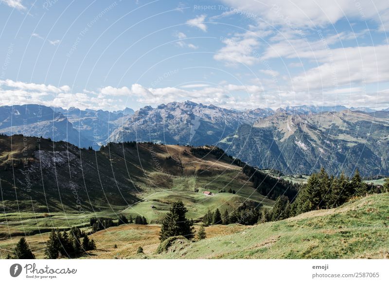 mountains Environment Nature Landscape Summer Beautiful weather Alps Mountain Natural Blue Green Tourism Switzerland Hoch-Ybrig Hiking trip Colour photo