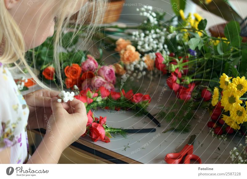 floral wreath making Human being Feminine Child Girl Infancy Skin Head Hair and hairstyles Face Arm Hand Fingers Summer Plant Flower Rose Blossom Fresh Natural
