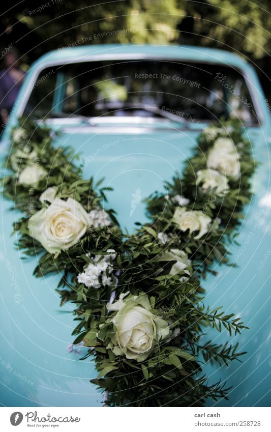 wedding car Lifestyle Elegant Esthetic Positive Warmth Blue Green Wedding Car Vintage car Flower wreath Rose Detail Colour photo Multicoloured Exterior shot