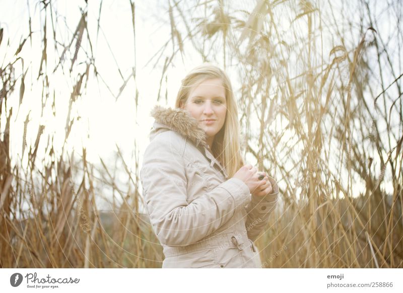 veneering Feminine Young woman Youth (Young adults) 1 Human being 18 - 30 years Adults Plant Meadow Lakeside Common Reed Colour photo Exterior shot Day Light