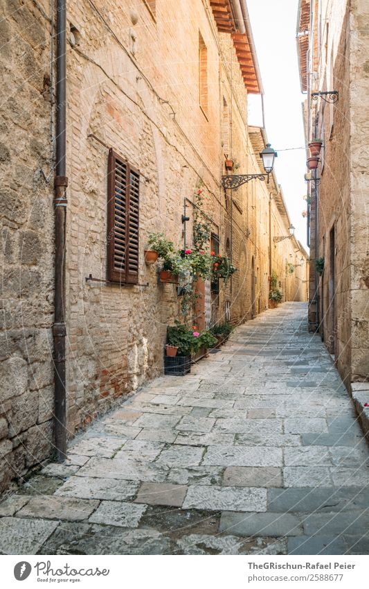 gas Village Old Italy Tuscany Travel photography Narrow Alley Light Shadow Vacation & Travel Discover Wall (barrier) Stone floor Colour photo Exterior shot