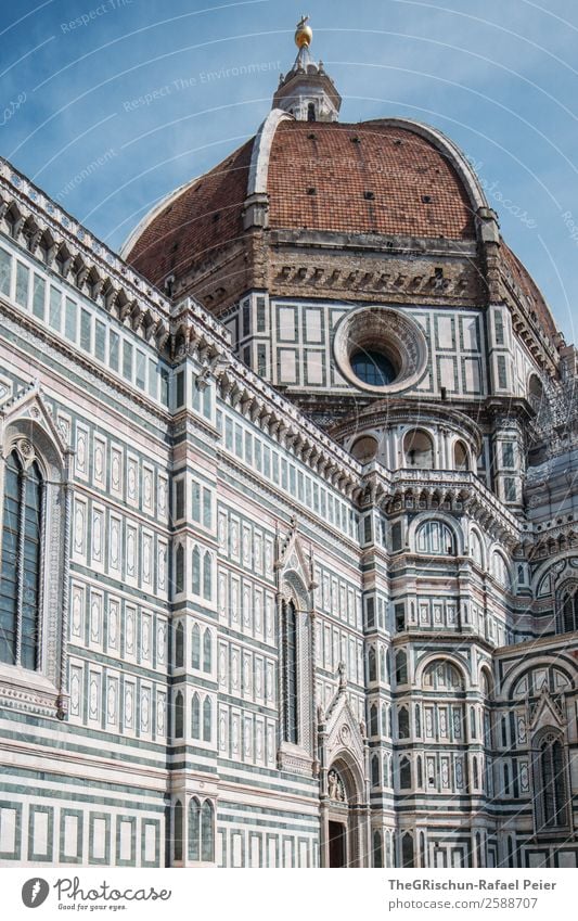 Florence Town Blue Brown Cathedral Santa Maria del Fiore Italy Valued touristic Tourist Tourism Church Religion and faith Detail Work of art Travel photography