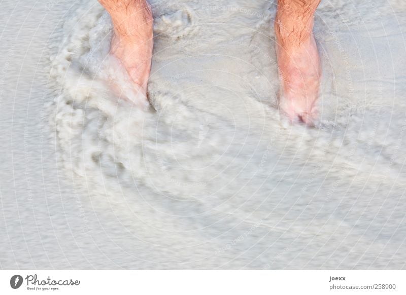 water level Vacation & Travel Summer vacation Beach Masculine Feet 1 Human being Water Stand Wet Brown Gray Sandy beach Current Flow Low tide Colour photo