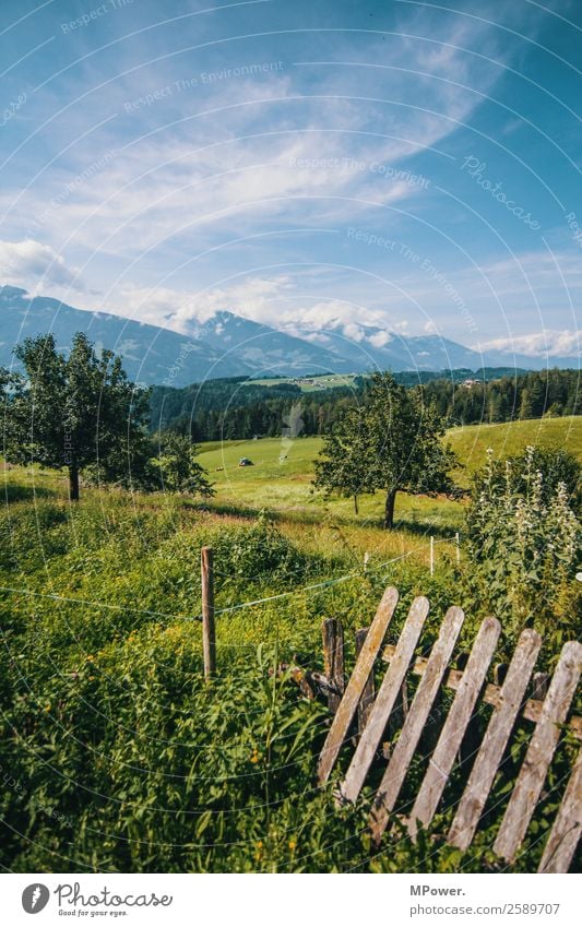 mountains meadows forests Environment Landscape Beautiful weather Alps Mountain Peak Snowcapped peak Fence Fruittree meadow Alpine pasture Tree Field Austria