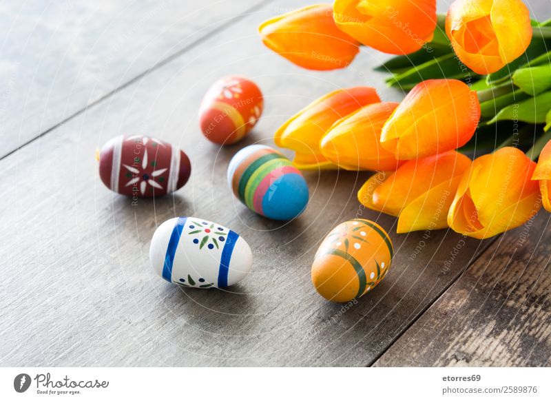Easter eggs and tulips on wooden background Egg Colour Vacation & Travel Feasts & Celebrations Public Holiday Background picture Guest Decoration Festive Spring