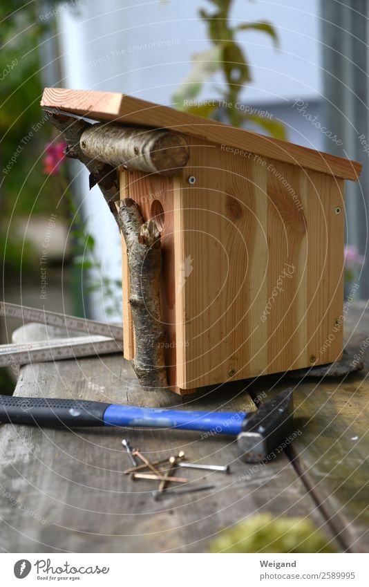 nesting box construction Kindergarten Bird Build Sustainability Hammer Nesting box Environmental protection Incubator Screw bird protection incubate
