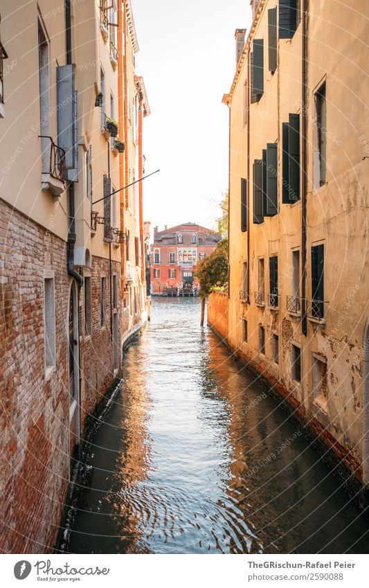 Venice Small Town Port City Tourist Attraction Brown Yellow Channel Alley Water Sea water Vacation & Travel Travel photography Discover Italy Colour photo