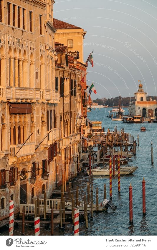 Venice Town Port City Blue Brown Yellow Gold Moody Wooden stake Footbridge Church House (Residential Structure) Water Italy Watercraft Flag Colour photo
