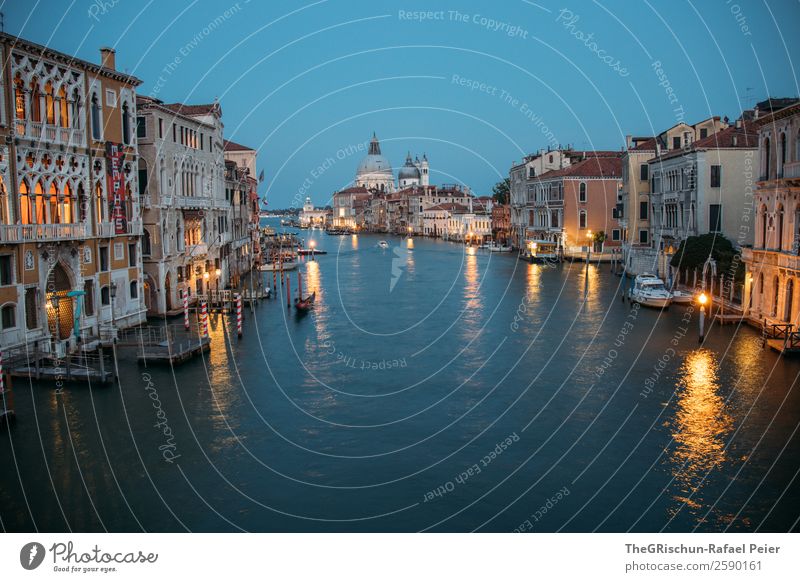 Venice Small Town Port City Blue Yellow Gold Water House (Residential Structure) Light Italy Long exposure Dome Reflection Exterior shot Deserted Copy Space top