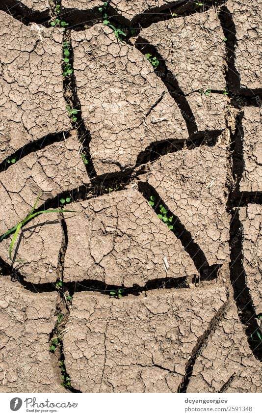 Cracked soil background Environment Nature Earth Climate Drought Dirty Hot Natural Brown Crack & Rip & Tear dry Consistency Ground desert Mud land arid Clay