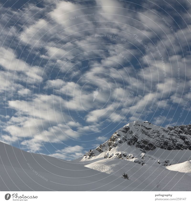 a sheep... two sheep...three.... Nature Landscape Sky Clouds Winter Weather Beautiful weather Rock Alps Mountain Peak Snowcapped peak Movement Freedom