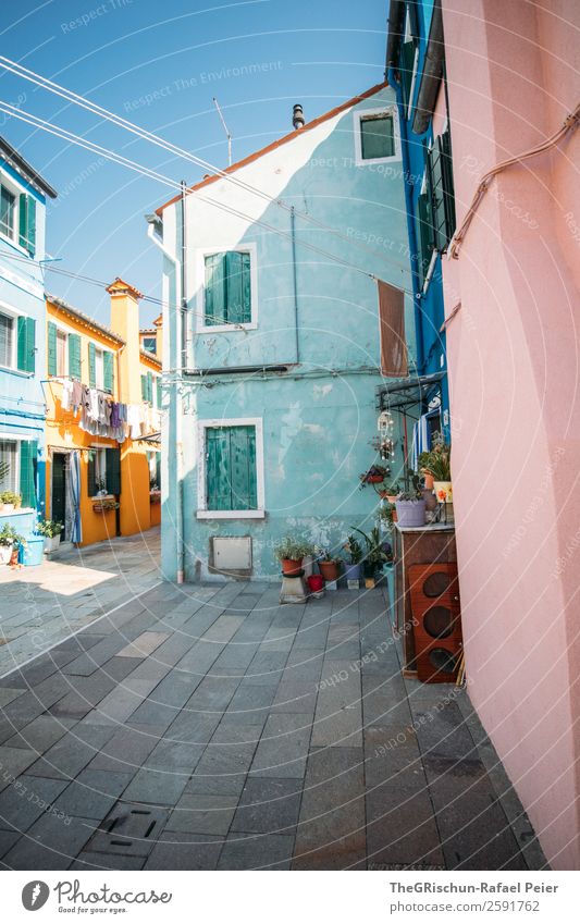 Burano Village Small Town Blue Multicoloured Pink Turquoise Italy Paving stone Living or residing Life Plant Yellow Travel photography Colour photo Deserted