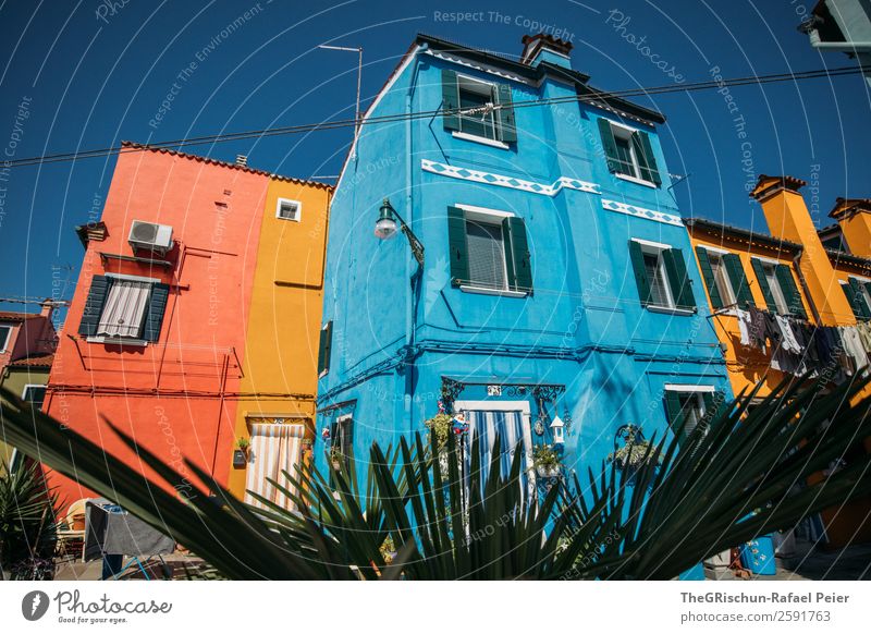 Burano Village Small Town Blue Yellow Italy House (Residential Structure) Plant Window Travel photography Colour photo Multicoloured Exterior shot Deserted Day