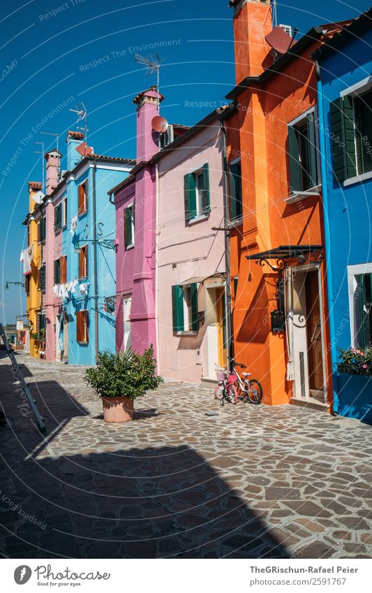 Burano Village Small Town Blue Yellow Violet Orange Pink Shadow Light Bicycle Plant House (Residential Structure) Italy Multicoloured Travel photography