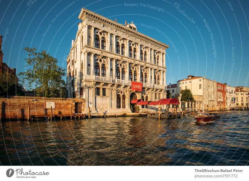 Venice Small Town Port City Blue Yellow Gold Red Water Italy House (Residential Structure) Watercraft Navigation Tree Channel Colour photo Exterior shot