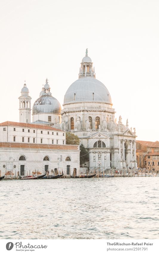 cathedral Small Town Port City Gray Black Silver White Dome Venice Water Moody Sunset Back-light Italy Colour photo Exterior shot Deserted Copy Space top
