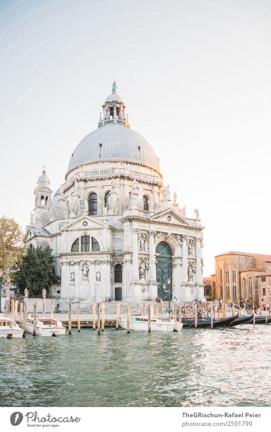 cathedral Small Town Port City Dome Gray Silver White Domed roof Statue Water Detail Art Sunset Venice Italy Watercraft Navigation Exterior shot Copy Space top