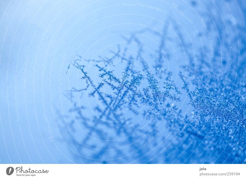 frozen effect Winter Ice Frost Glass Esthetic Blue Frozen Water Colour photo Exterior shot Structures and shapes Deserted Day